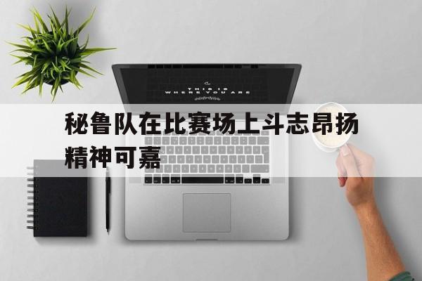 关于秘鲁队在比赛场上斗志昂扬精神可嘉的信息