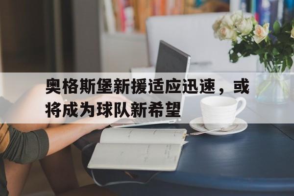 包含奥格斯堡新援适应迅速，或将成为球队新希望的词条
