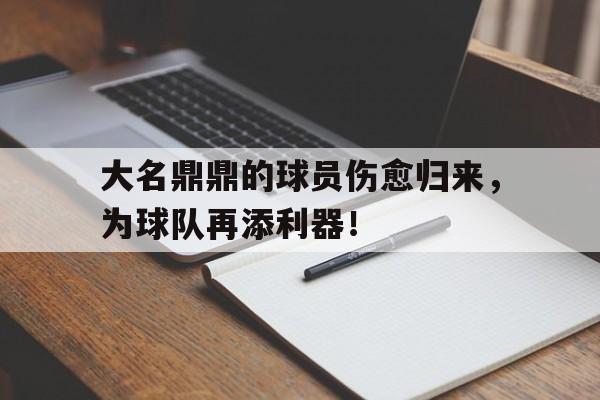 大名鼎鼎的球员伤愈归来，为球队再添利器！的简单介绍