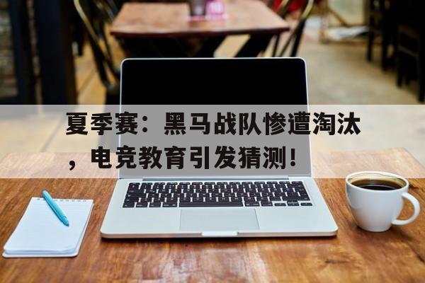 夏季赛：黑马战队惨遭淘汰，电竞教育引发猜测！黑马战队创始人